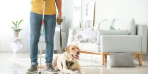 A person who is blind or visually impaired may rely on their service dog for many tasks at work