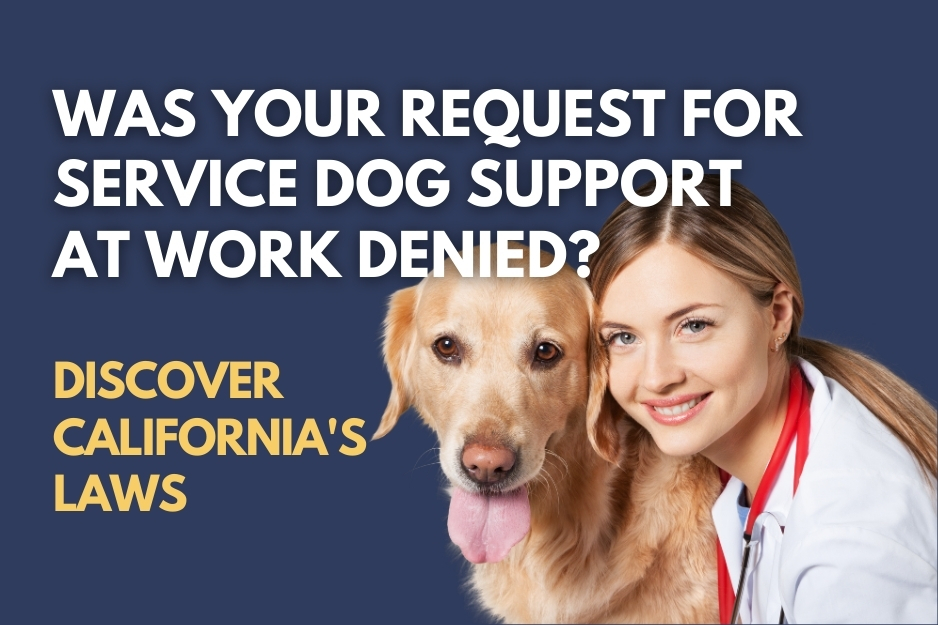 service animals at work in California